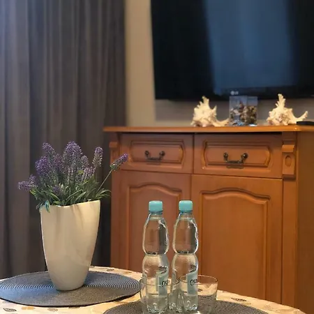 Beauty Apartment